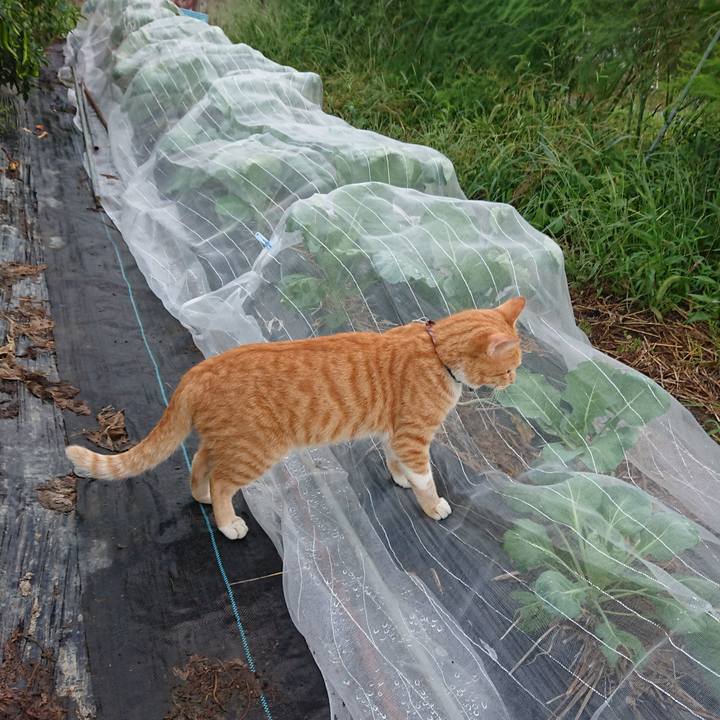 81dd5b83 a5d3 48f5 a391 e65c90347f52 1568235709940