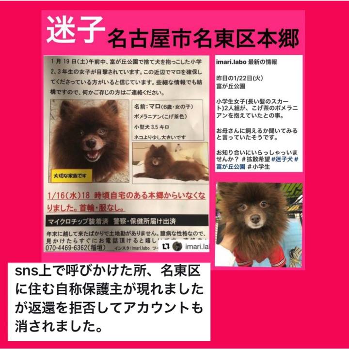 81dd6388 48ae 4c53 9c61 ea542fe554eb 1553272688407