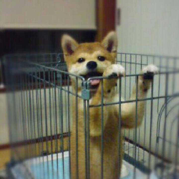 81dd9a2f 5232 497f 88cc c86ecc56adca 1516064004631