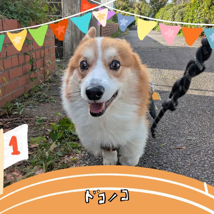 81ddbecc 2a99 4bbd 83ac 7e9039557e10 1761622201770