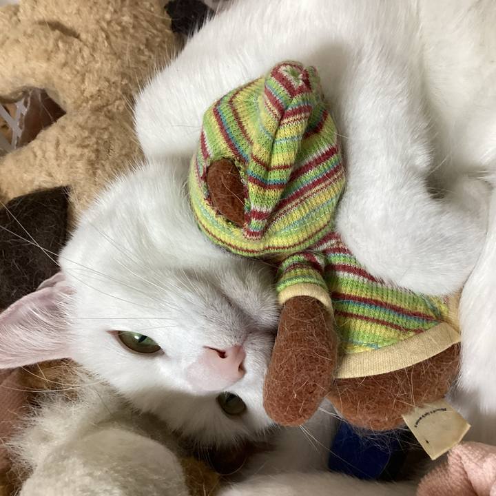 81de3a7b b3c6 4c0b 8477 6d7ebdecec7f 1703021511558