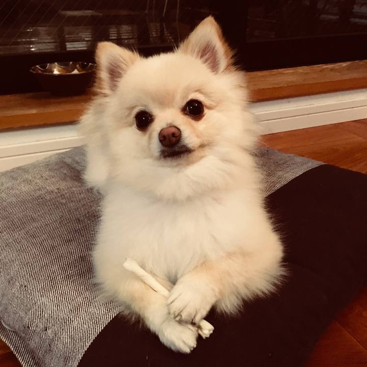 81de5945 4cbf 4f28 9311 fab183db3096 1520252088225