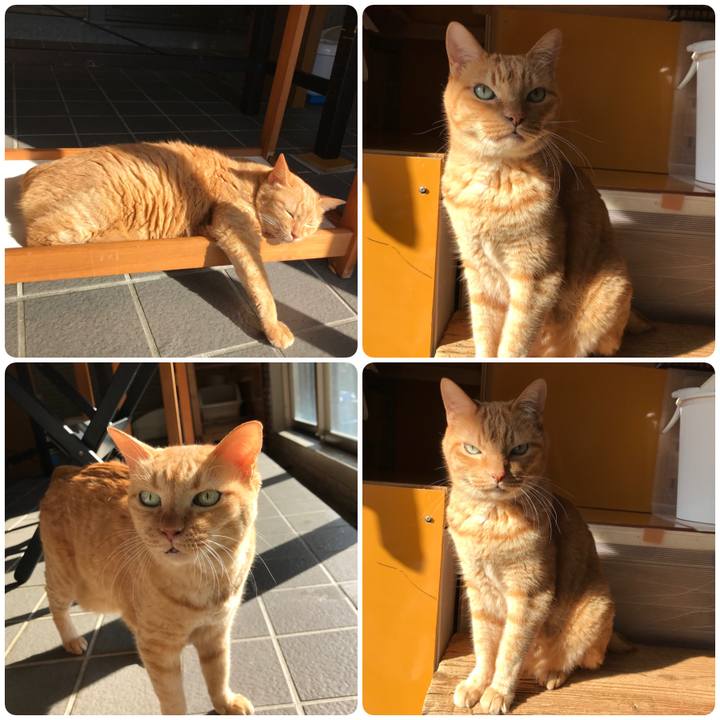 81de64ad d7df 40ac 9deb c9cacc43631d 1605016209607