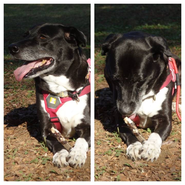 81dea6c5 9612 41ab 905a e4f96e9569a6 1698974423429