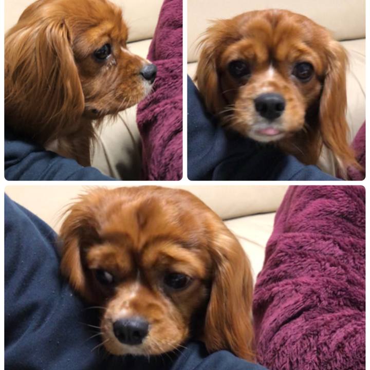 81deba8b 85af 4b5d a4b0 4cb7be8affa1 1548428657111