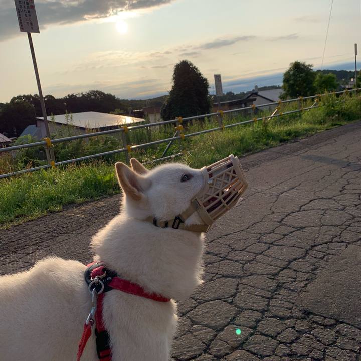 81debe12 b00e 4265 9c00 43cef3e87a42 1563570690717