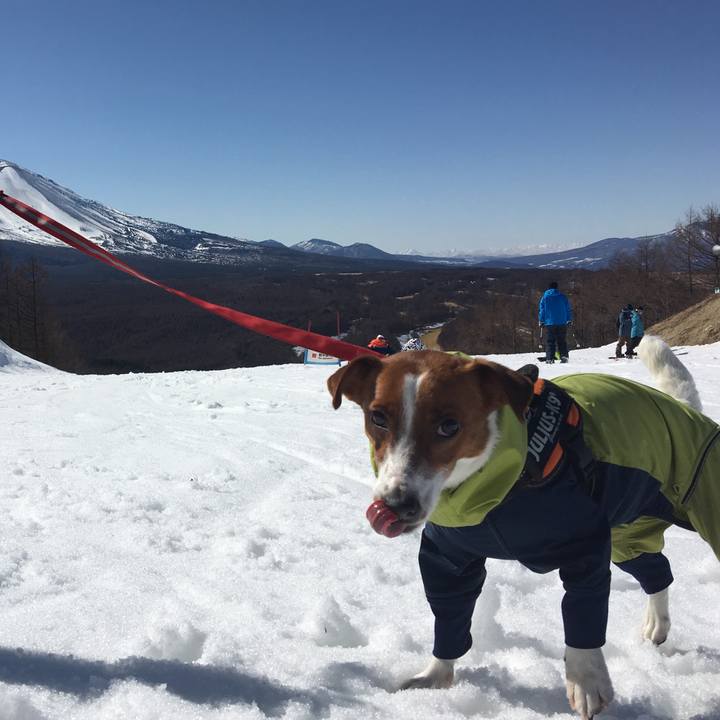 81dec5a9 8797 4806 bea6 731c60f24133 1520688682177