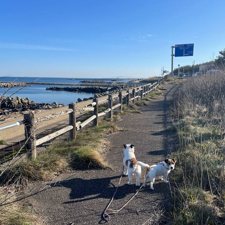 81ded858 edea 4b9f b8c9 b44c5501c04d 1679271204824