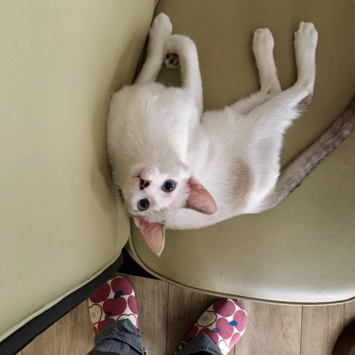 81dedd3d b2a2 4625 abb3 d9b84ffdce7a 1535781372724