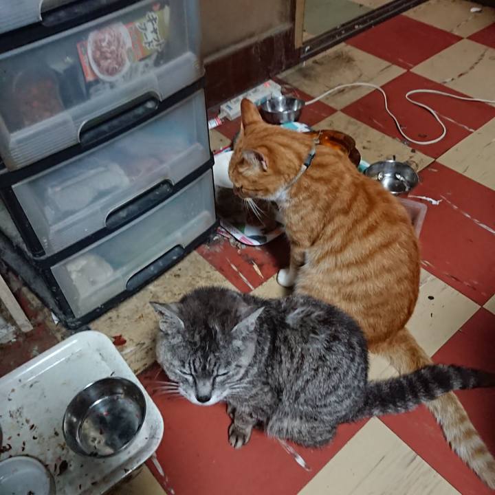 81df3b2d 6afe 41ec 902e 0a79211c234a 1596747959972