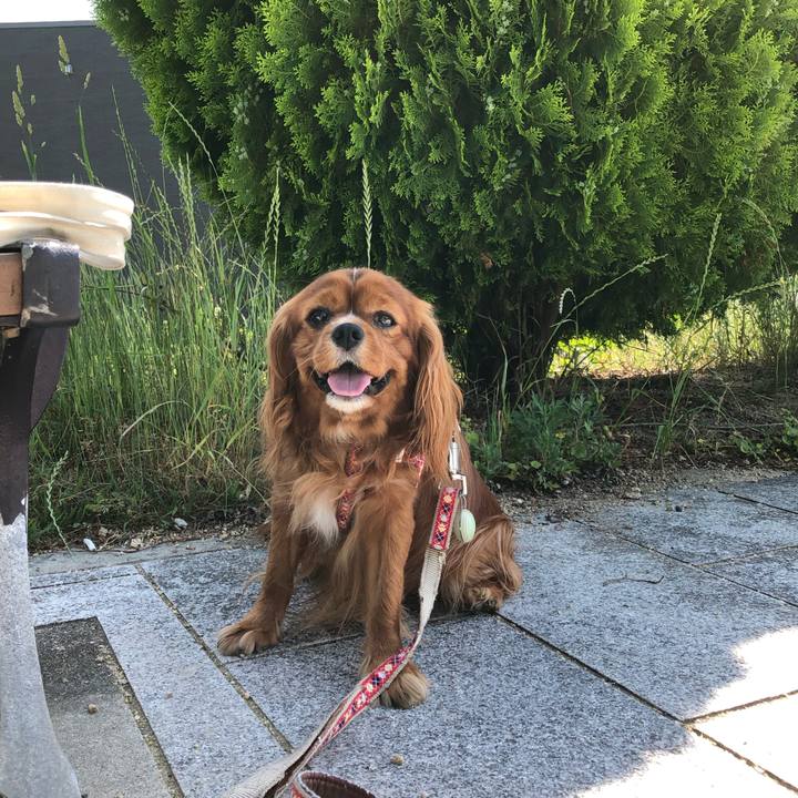 81df646d c7a4 4d6d 8096 c4929bb510ad 1590840195166