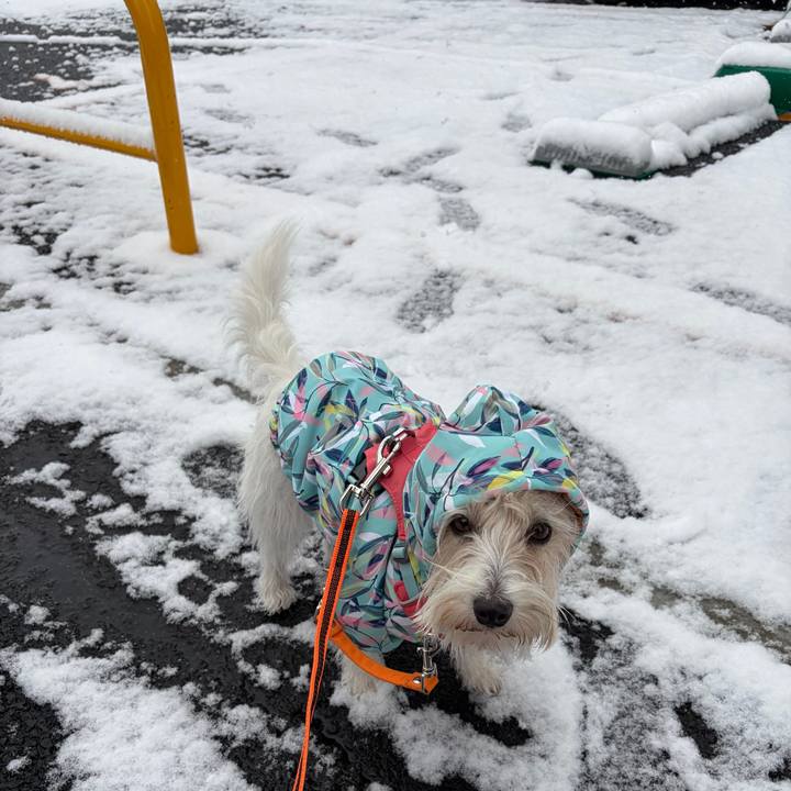 81df9ff5 7383 4c95 9b2a 92732013d429 1770515193519