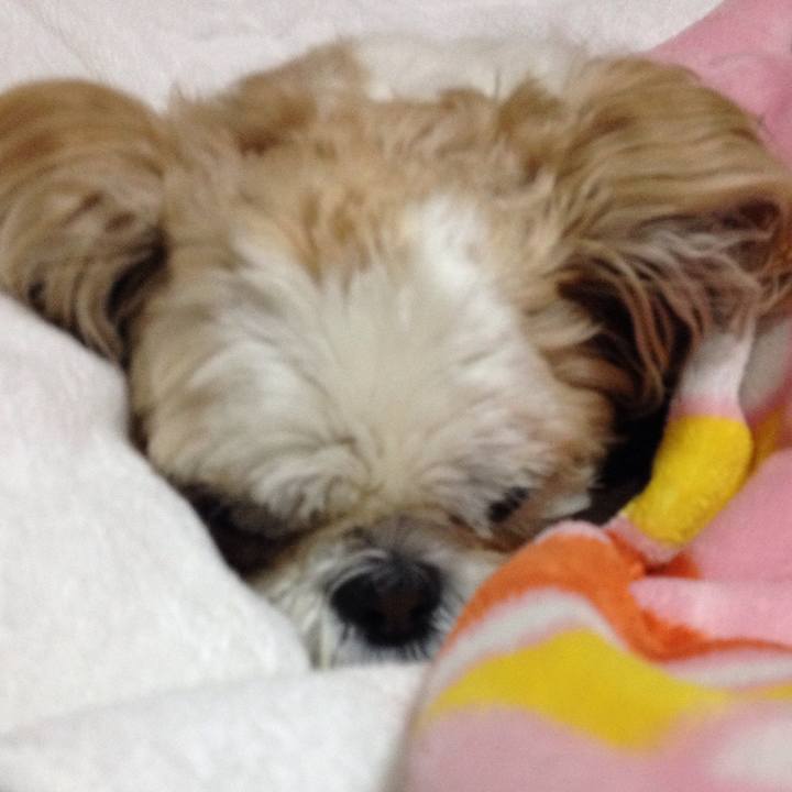 81dfc30c b70c 4bcb ba56 3d8d8d68362b 1511472685627