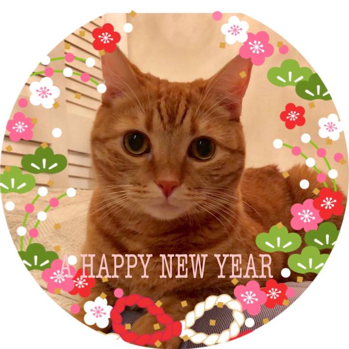 81e01022 7888 4560 a449 6a5dc869a822 1514811658743