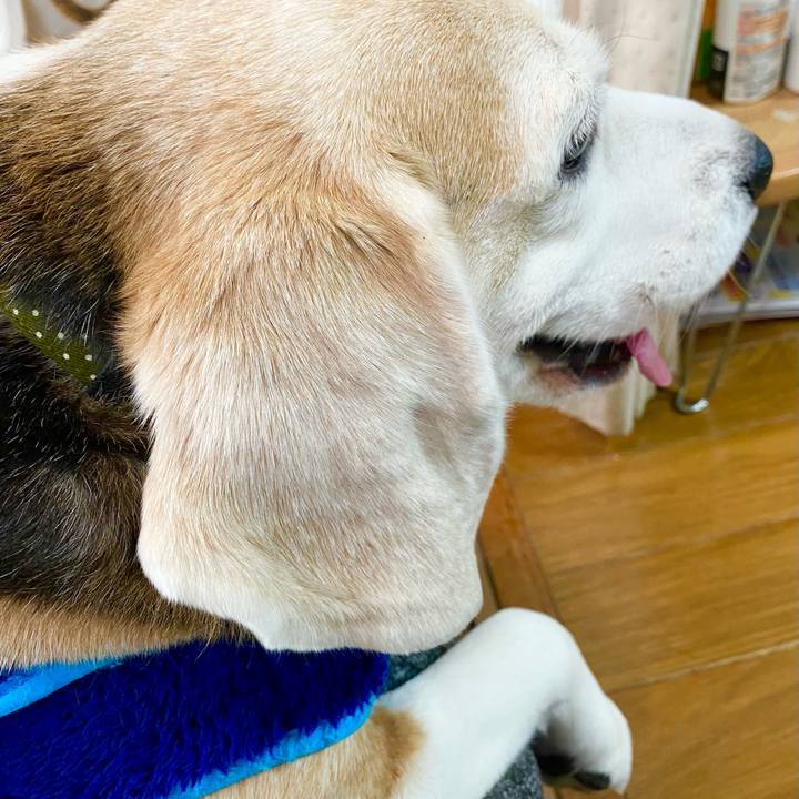 81e01be4 186a 4b0d b539 e03007fdba18 1644382280712