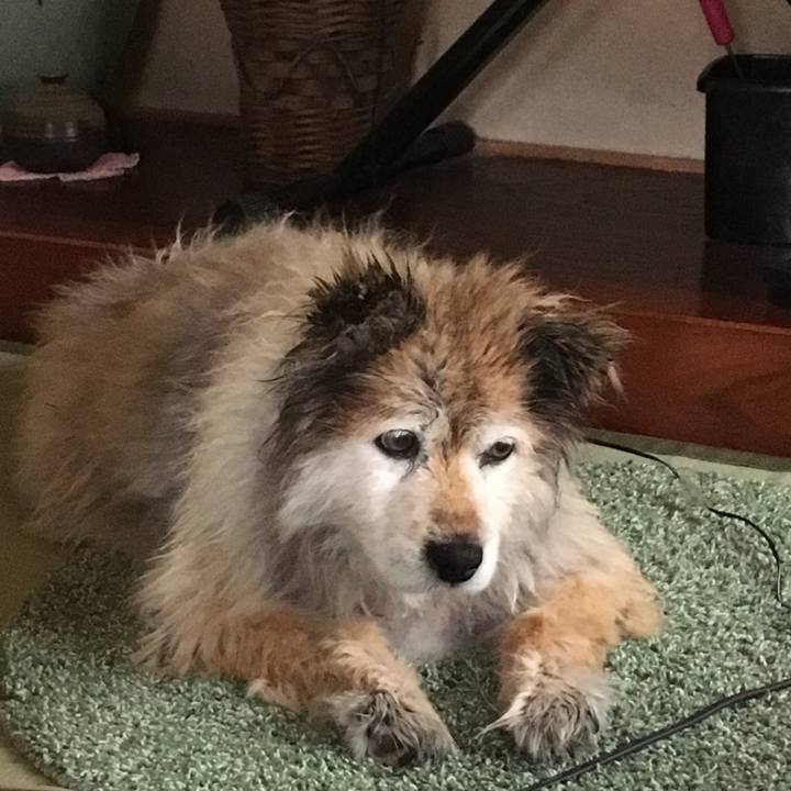 81e022bc 024f 4d29 a2e8 6da10162abbb 1632638686543