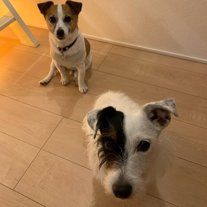 81e0287f 553e 4ae1 92b6 c8839131eab1 1593688533988