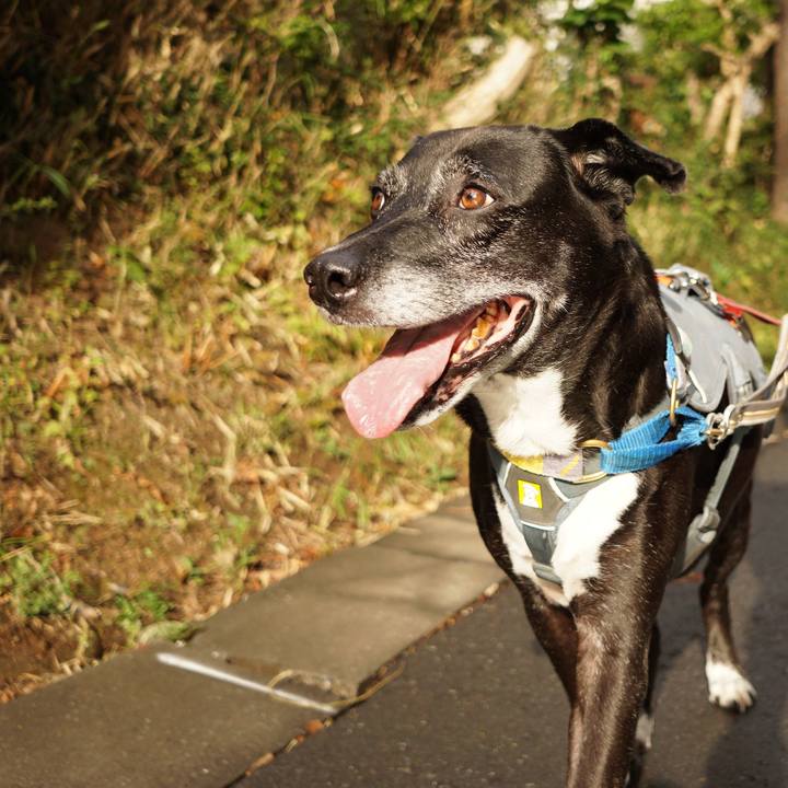 81e03085 56c8 42ec 8b3e 80752a44e06a 1757548582992