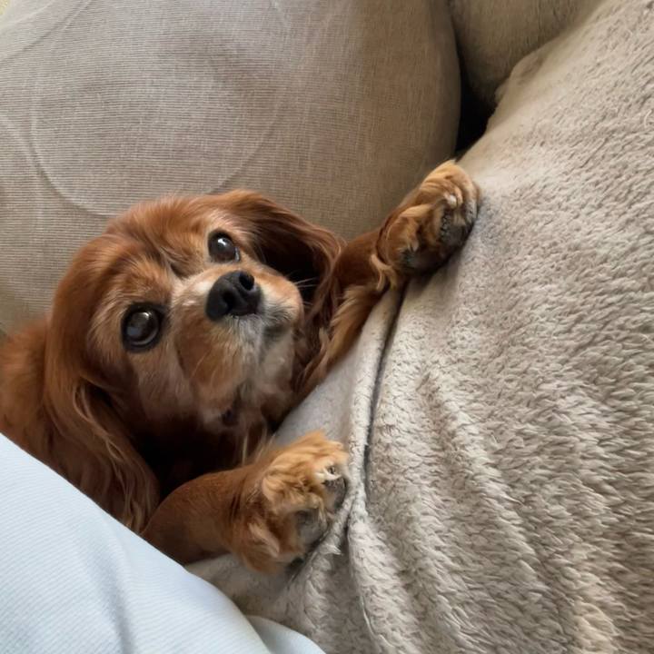 81e03348 bda4 491a 876a d89e5d04a3ba 1729722549198