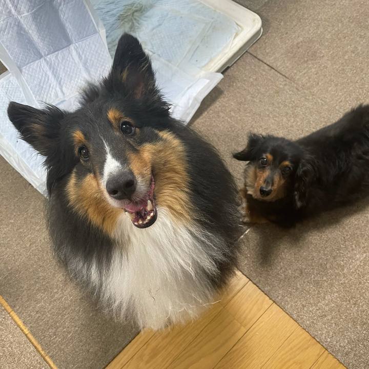 81e05ba8 b03b 4369 a131 65ccd02ba9c0 1624397436916