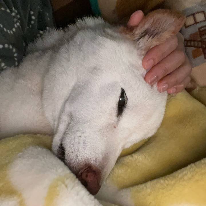 81e062cc f695 4c4d bb26 fc196130bb36 1648484759600