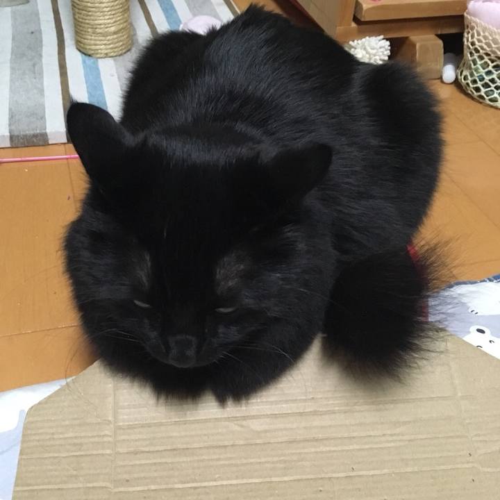 81e06321 d9d6 4b7a 89be f41c7d780f07 1523028723513