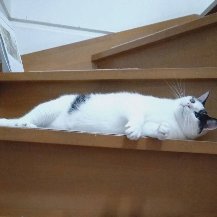 81e0a049 d32f 47c4 9856 21af3775d795 1561116783043