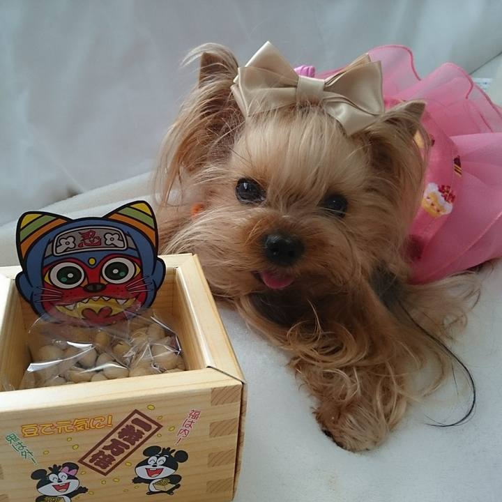 81e0d9fe 9c7d 4db3 ba29 9eb8dee86598 1675394936689