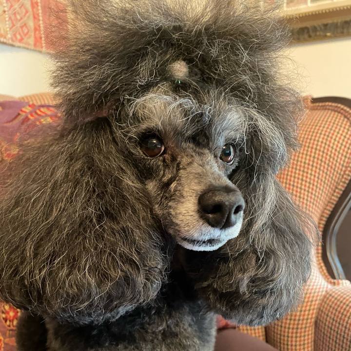 81e16095 f523 44ae bd64 72a37a386aac 1755839836814