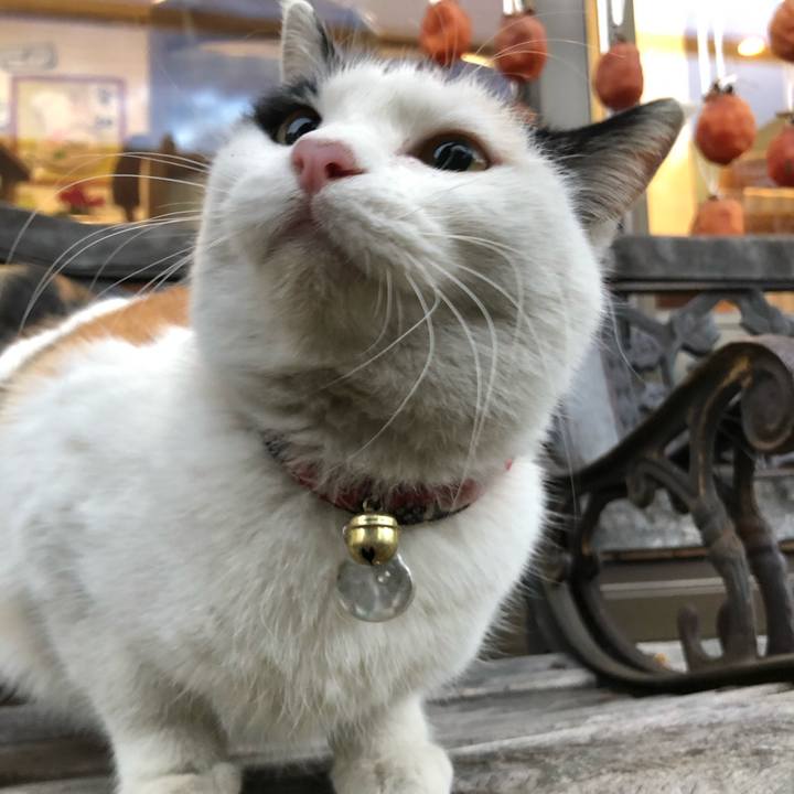 81e16a21 c7fc 4307 abef dffe21e63b48 1608071265318