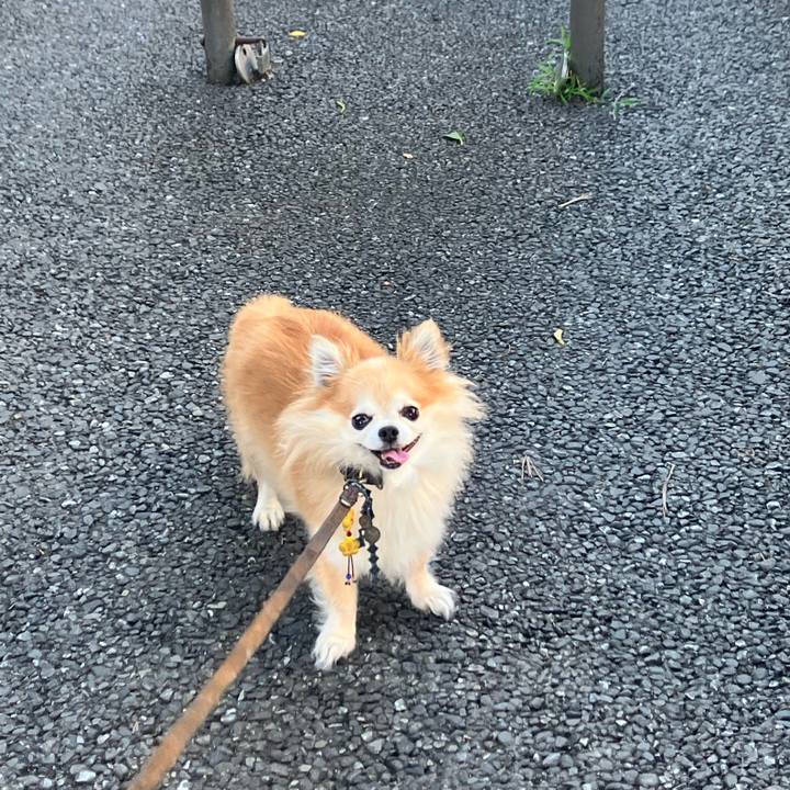 81e1d3c8 59b9 469b bed5 8070162dea97 1752882121263