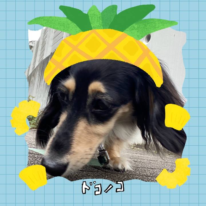 81e2152c 8b8c 4b73 9f4a b0b5222c8a3e 1783831068688