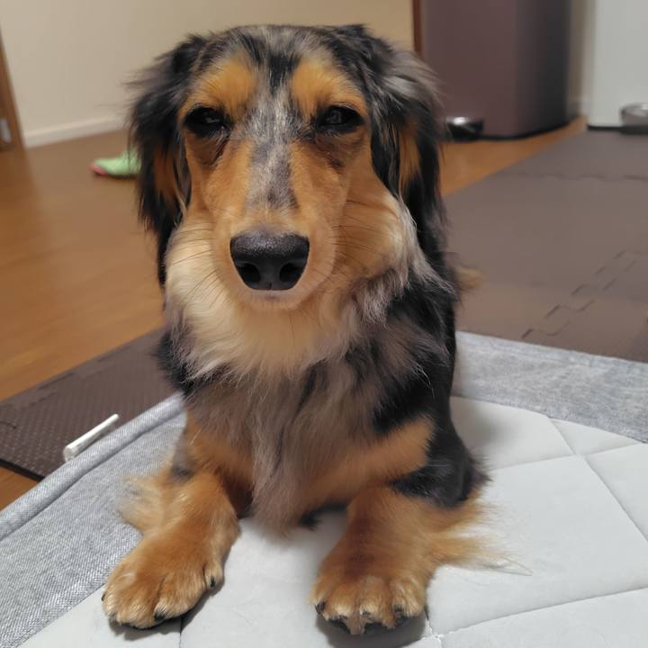 81e26897 44b0 4842 9ed5 976e6767c403 1751802691459