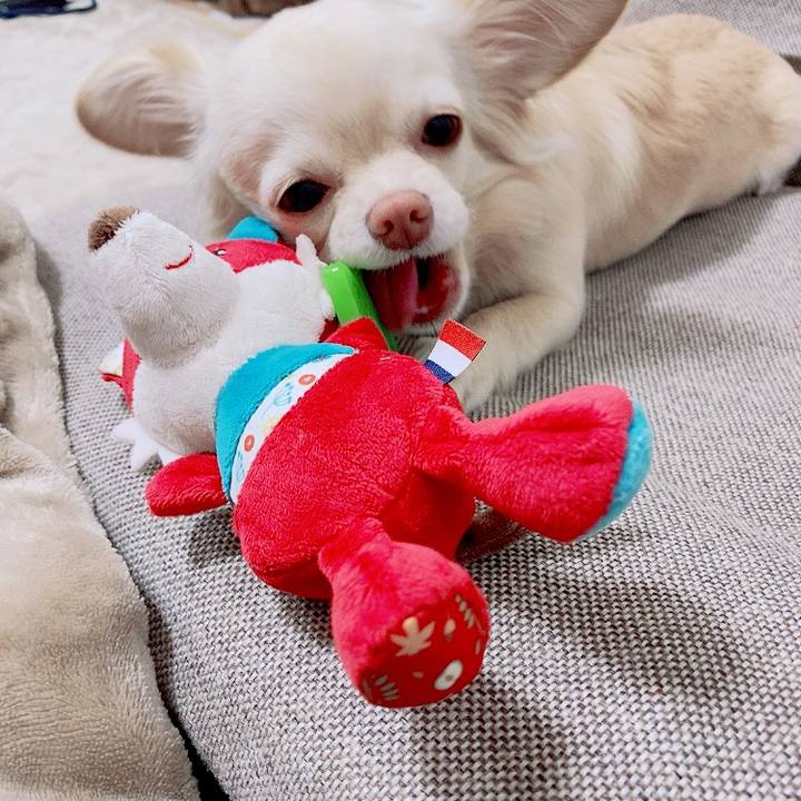 81e2d45f ce88 4d1e b20e 347ecc862824 1616918133504