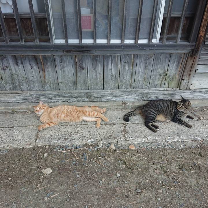 81e2e4f8 fe94 44d3 a247 d268b6633270 1659862497116