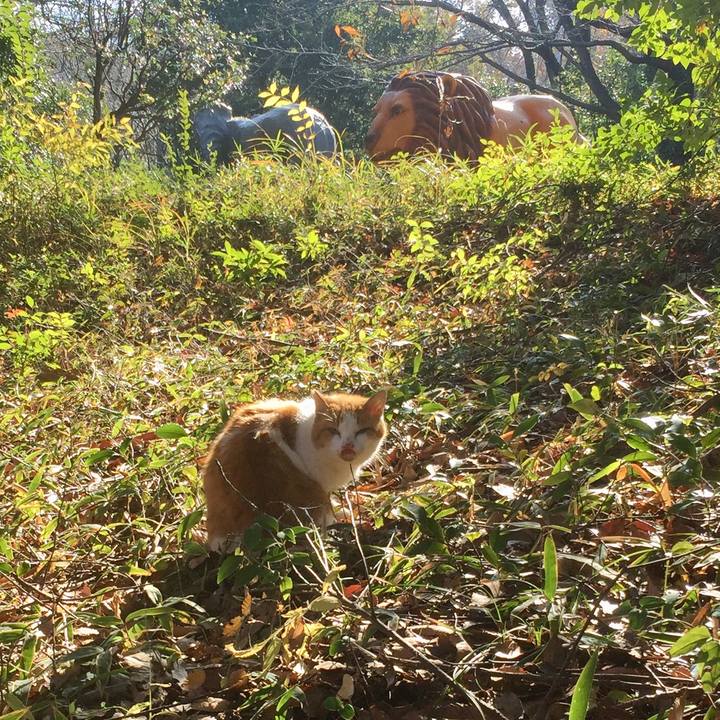 81e2fa74 e77f 49cd 9e0d 884cfa0378bf 1576400788335