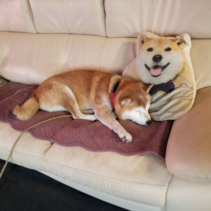 81e31bf7 68b2 4ee5 95ae e3536daa8778 1733355177580