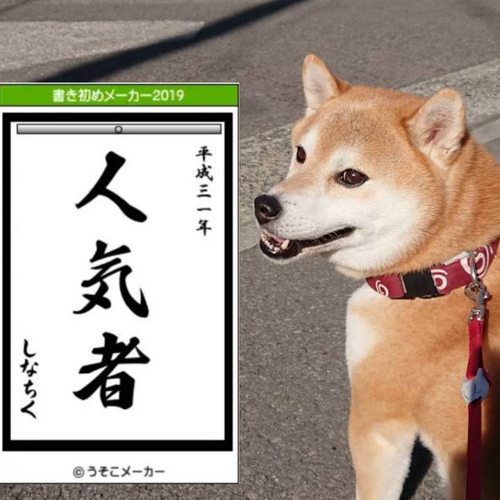 81e3848a 63a2 40ca a9ff 2ec9ec6b887b 1546500801649