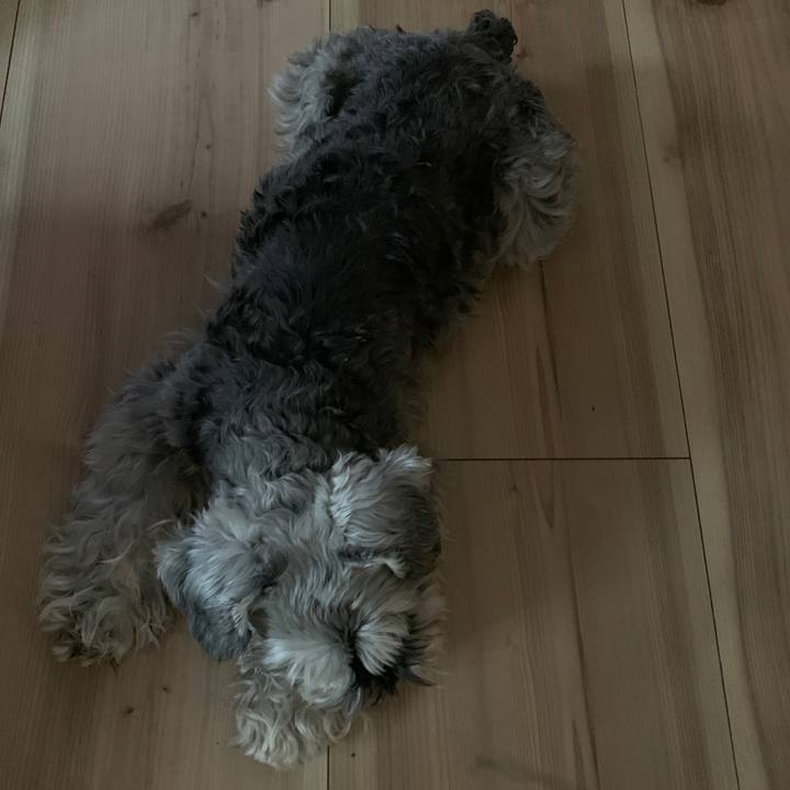 81e3a712 dfcc 44b1 8e56 f2b166d49411 1651992888788