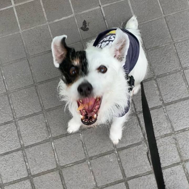 81e3af94 0ed3 4e2d a1b7 fdfbe4830e75 1713833213084