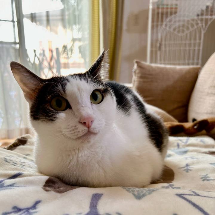 81e3db68 690c 4c3e a3b2 473434a87c52 1732232540905