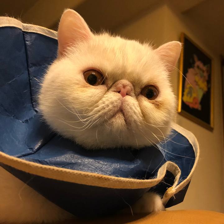 81e3e79f 90c2 43c2 838f 8e2cc2db58c8 1635078548890