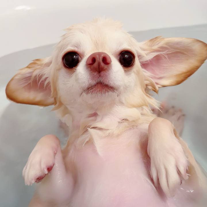 81e415e4 59e5 446d a759 c2d0b8bbfb5c 1695723181910