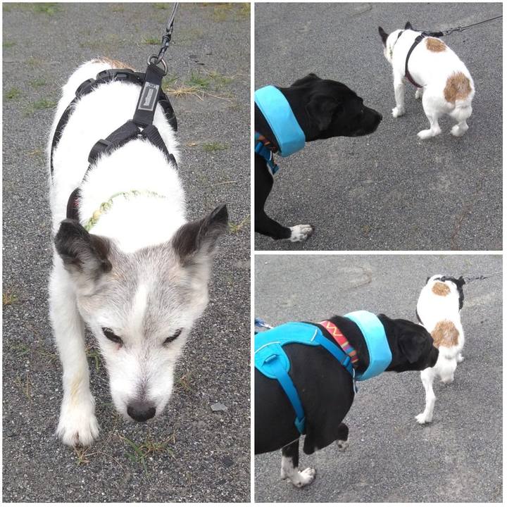 81e41eb9 8859 4525 a7c2 bb9587c27be2 1627605905148