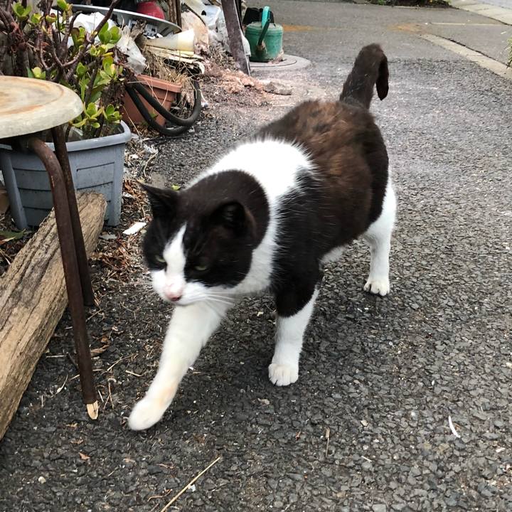 81e42e15 3803 4acc 97ba e674e255b83e 1521796002474