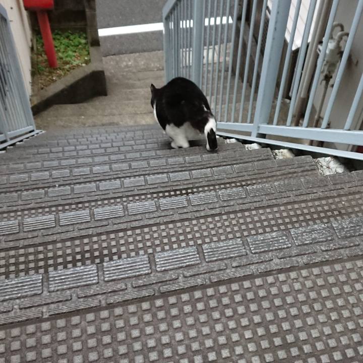 81e45fb6 5dcc 4ab4 9aac 24e5481b48b8 1602719554048