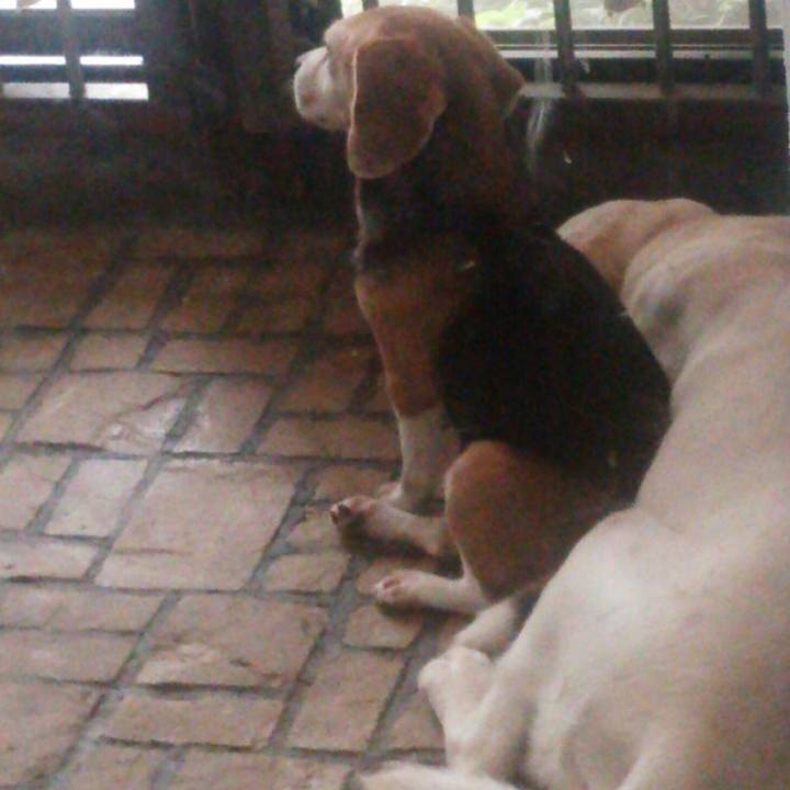 81e4605a ddd3 4121 9e1e 015f409f9b7d 1532866297200