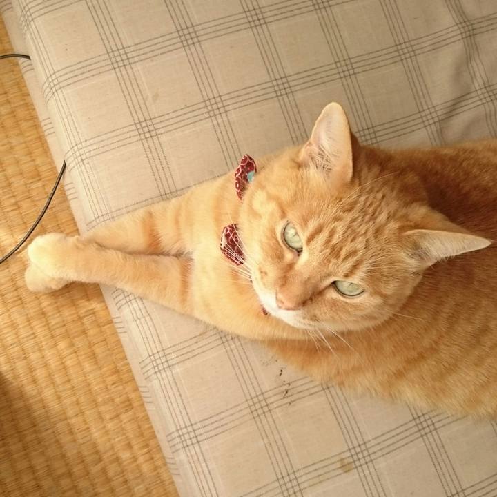 81e469a8 4459 4469 87d3 fe521f22ff5d 1527911348593