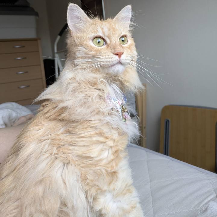 81e47424 bfbf 4dd7 aea4 b3a0e088a262 1754796355548