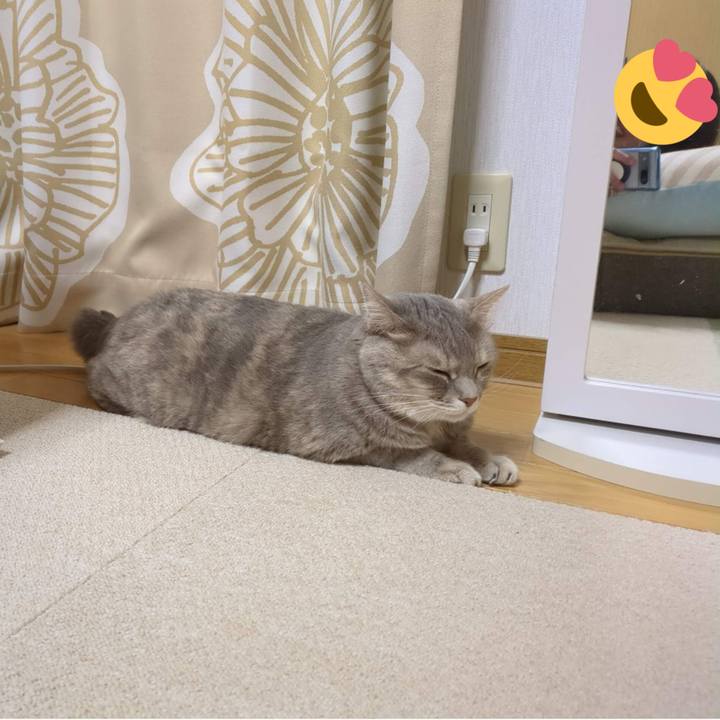 81e49b66 91bc 4b18 8040 cc21e62080ed 1688960385602